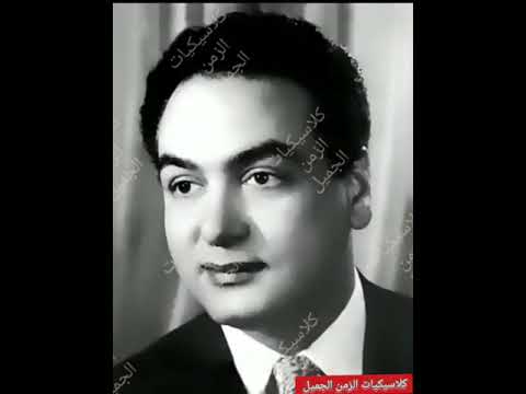 محمد فوزى زنوبة