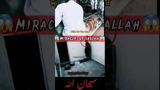 Miracle Of Allah Youtubeshorts Viral Shortvideo Foryou Viralvideo Shorts Islam Allah