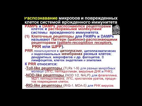 8:00-9:30 Иммунология Лекция