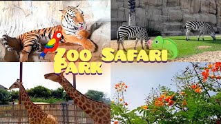 Zoo Safari Park | Dubai VLOG 2024