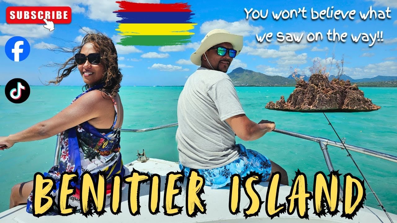 😍We Almost Couldn’t Believe This! We Swam With Dolphins 🐬AND  Sperm Whale 🐋