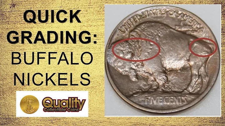 How to Quickly Grade Buffalo Nickels | Quality Collectible Coins