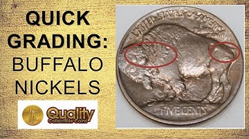 How to Quickly Grade Buffalo Nickels | Quality Collectible Coins