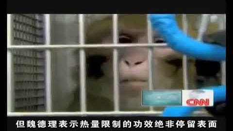 Lifegen Technologies on CNN