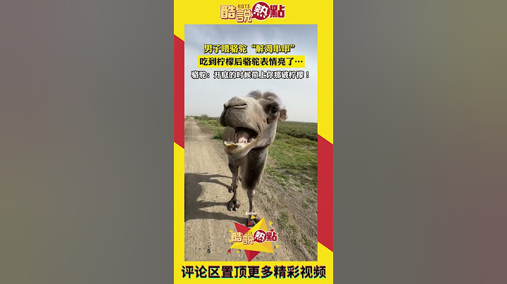 男子喂駱駝「解渴串串」，吃到檸檬後駱駝表情亮了！#動物 #搞笑 #野生動物 #奇葩 #社會 #檸檬