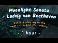 it's raining and moonlight sonata by beethoven is playing in the next room (1 hour sleep/study)