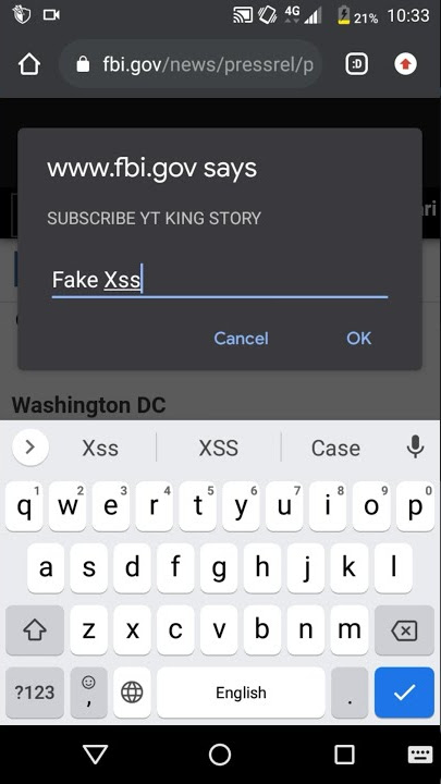 STORY WA HACKER | FAKE XSS