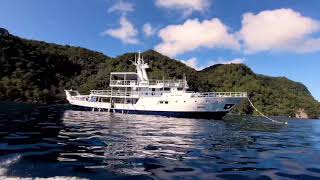 Cocos Island scuba diving !