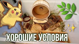 ОБЗОР на ЖИЛЬЕ моего ХОМЯКА 🏠🐹 ||  Хорошие Условия для Хомяка 🌱 || КАК Я НАЗВАЛА ХОМЯКА❓️