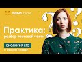 Практика. разбор тестовой части. Часть 2 | БИОЛОГИЯ ЕГЭ | Лина Клевер