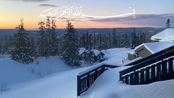 🌸 القارئ: شريف مصطفى 🌸      🍂 سورة: الشعراء