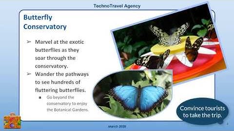 Travel and Tourism Lesson Plans with Google Slides, TechnoTravel by TechnoKids