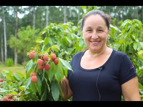 Vídeo: Lichia - Tudo Sobre Frutas Exóticas