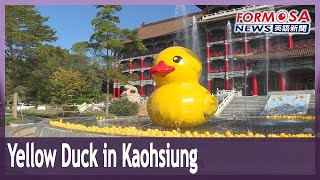 Giant yellow duck back in Kaohsiung, 10 years after its first triumphant visit｜Taiwan News