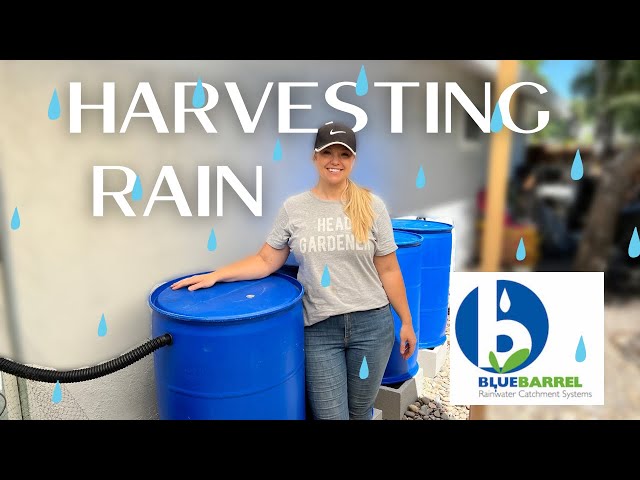 Ong®Rainwater Collection Jars - Harvesting Rain the Beautiful Way