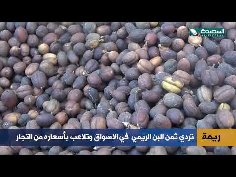 البن الريمي... تردي الأثمان وتلاعب التجار بأسعاره