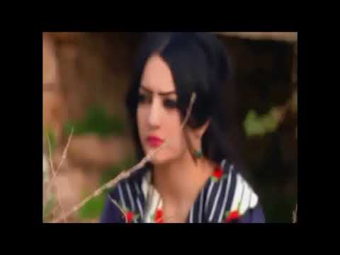 في البال أغنية قصة أغنية حيد عن الجيشي يا غبيشي