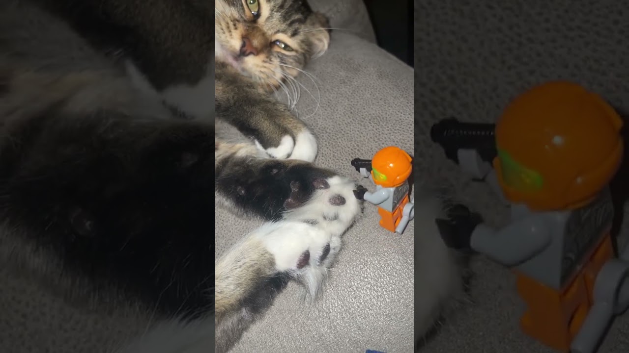 @dluslegos: Галактические десантники взяли образец ДНК неизвестного вида 