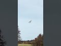 Timber x.  in heavy winds
