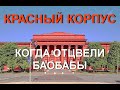 Когда отцвели баобабы+