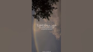 ياسر الدوسري كرومات سورة آل عمران #القرآن_الكريم
