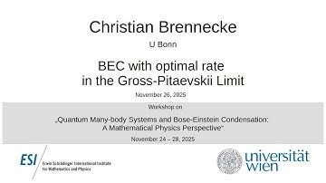 Christian Brennecke - BEC with optimal rate in the Gross-Pitaevskii Limit