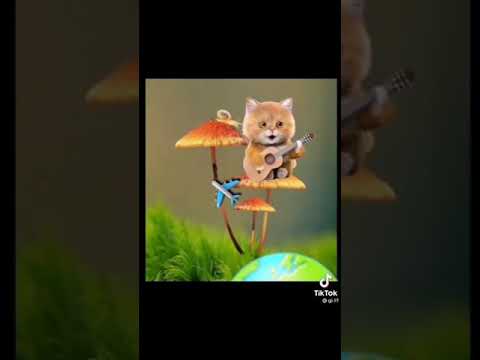 كون نصير انا وياك نجمه بسمه وغيمه ستوريات