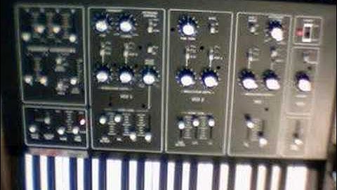 Octave Cat SRM sounds