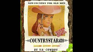 countrystar420 - square dance ft. cody ko