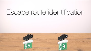 A few simple steps: Escape route identification | LINEDO | Continuous line luminaire system