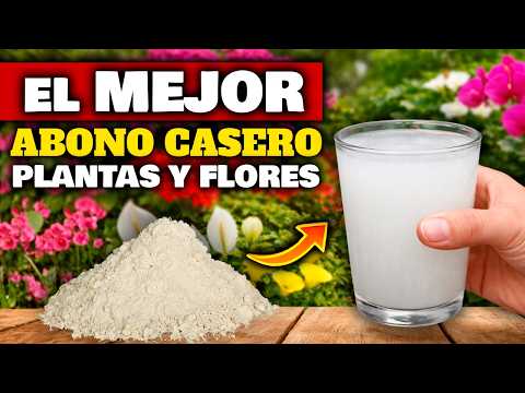 ¡NUNCA MÁS TIRES ESTO! Tus plantas AMARÁN este ABONO CASERO Floración y Crecimiento