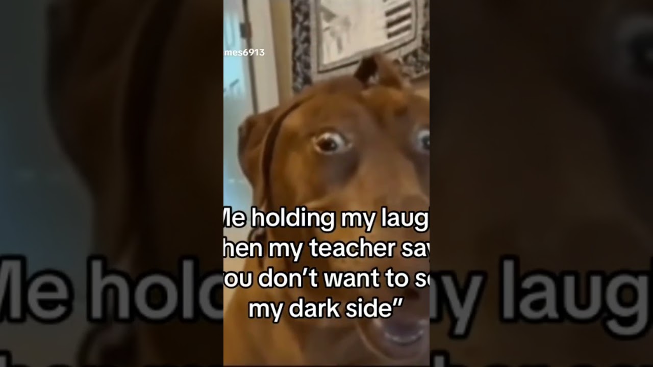 Watch “Me holding my laugh when my teacher says you don’t want to see my dark side” meme on YouTube Watch “Me holding my laugh when my teacher says you don’t want to see my dark side” meme on YouTube