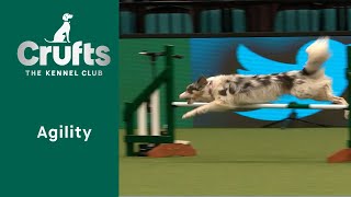 Agility  Crufts Novice Cup Final (Jumping)   Part Two | ​Crufts 2023