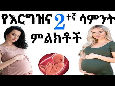 ቪዲዮ: ሴክሬታሪያት አሁንም ምንም መዝገቦችን ይይዛል?