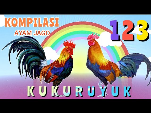 Kompilasi Ayam jago kukuruyuk !! Lagu Anak Anak class=