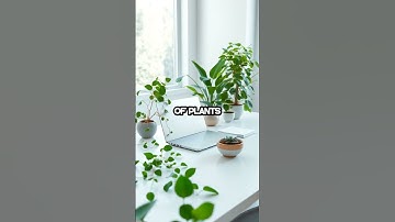 Transform Your Workspace: Boost Productivity with One Simple Plant!