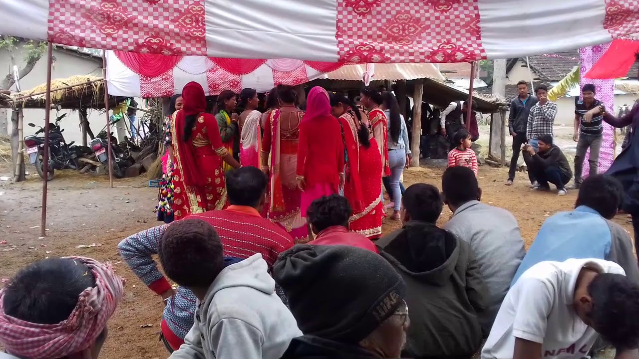 Rana tharu wedding dance(3)