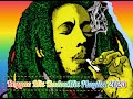 Reggae mix 2024 dadoumix