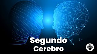 4 Pasos para Crear tu Segundo Cerebro y Organizar Mejor tu Vida