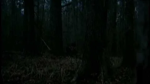 Larry Proffitt tree calls