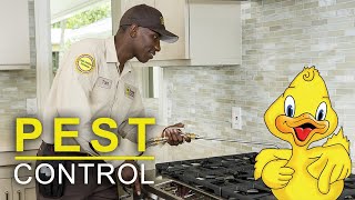 Pest Control - Drake Lawn and Pest Control