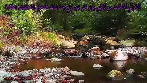 –إبداع– غير– مسبوق –من– سوره ابراهيم