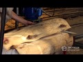 Слэбы из дерева: назначение, применение, изготовление