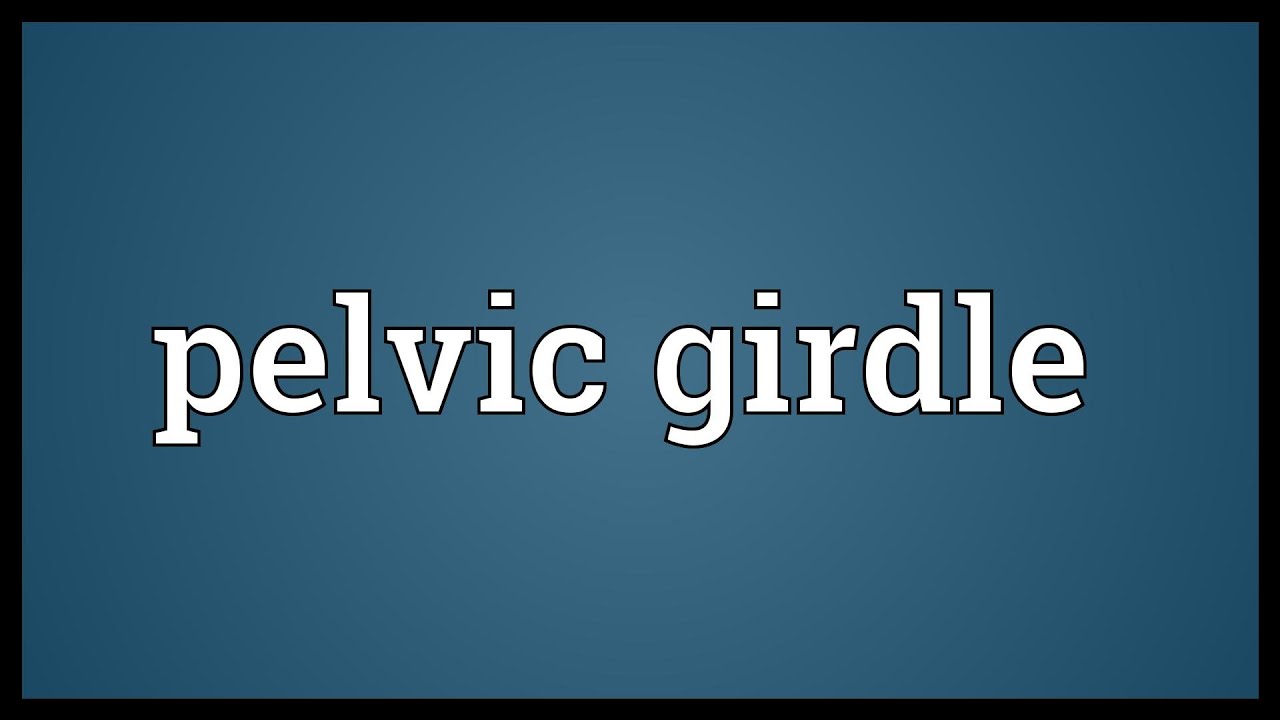 Pelvic girdle Meaning 