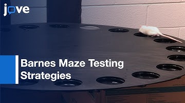 Barnes Maze Testing Strategies With Small & Large Rodent Models l Protocol Preview