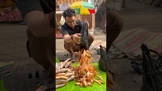 Machli bechte bechte achanak Bhukar aa gaya 😭🐠#minivlog #dailyvlog #shorts #vlogs