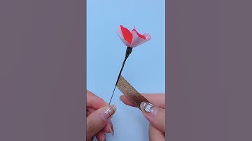 Thumbnail of Do you guys say this is plum blossom or red apricot79 #shorts