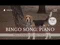 Bingo. Song. Piano Lesson. How to play Bingo? #bingo #bingosong #childrensongs #pianotutorial