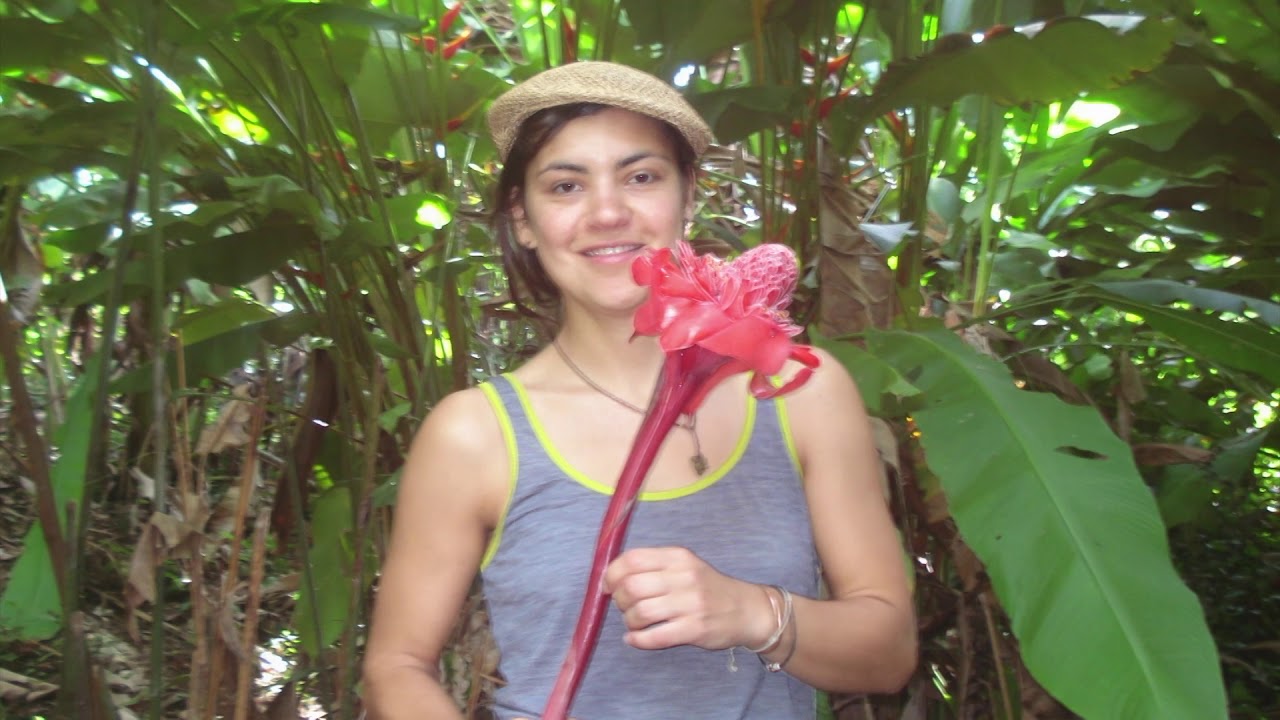 PRODUCCIÓN DE VAINILLA EN AGROECOSISTEMAS TROPICALES