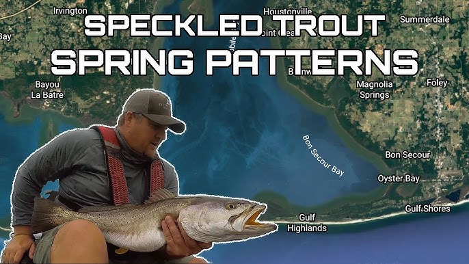 Speckled Trout Fishing - Where to find Speckled Trout This Winter